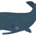 【悲報】亡くなったクジラの淀ちゃん、コンクリートで海に沈められる模様