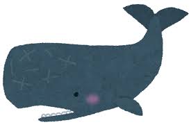 【悲報】淀川に迷い込んだクジラのヨドちゃん　ダメそう・・・