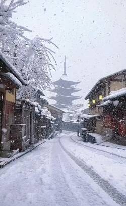 【動画】本気出した雪の日の京都、美しすぎる