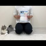【悲報】猫YouTuber「もちまる日記」、猫アレルギーが判明