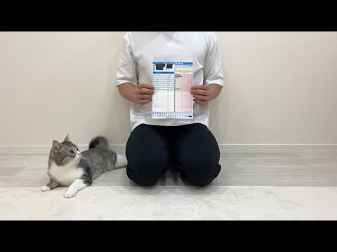 【悲報】猫YouTuber「もちまる日記」、猫アレルギーが判明
