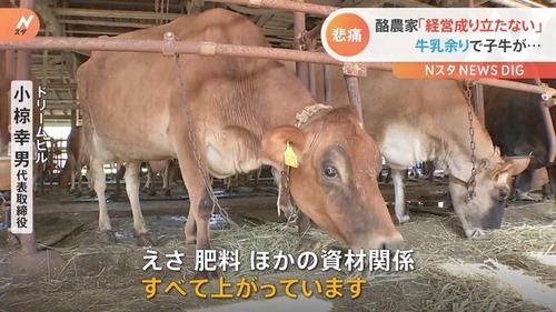 日本「北海道の酪農家は９万トンの生乳抑制しろ！海外からは１３万トン輸入の維持するぞ！」北海道の酪農家「・・・は？」