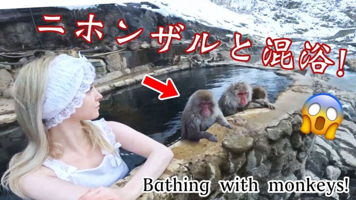 【動画あり】日本在住のイギリス人グラドルがサルと一緒に温泉入浴した結果ｗｗｗｗｗｗｗｗｗｗ