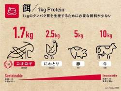 コオロギ食のエネルギー効率を示した図表、いつも牛、豚、鶏と比べるものばかり