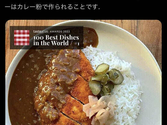【画像】世界一位を獲得した日本のカレー、明らかに日本のものではない模様