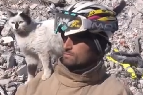 トルコ地震で救助されたネコさんと救助した隊員の現在