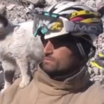 トルコ地震１２９時間目に救助されたネコさんが救助してくれた隊員に懐く動画が可愛すぎると話題に