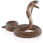 【閲覧注意】マレーシアの屋根裏部屋にいたヘビが少し大きめ(お前らの想像の1.5倍大きい)
