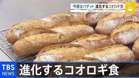 【敷島製パン】コオロギパンのPasco炎上…不買運動へ