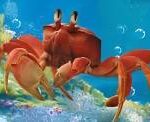 ディズニー実写版『リトル・マーメイド』、セバスチャンが想像以上に“ただの蟹”だと全米で話題に。