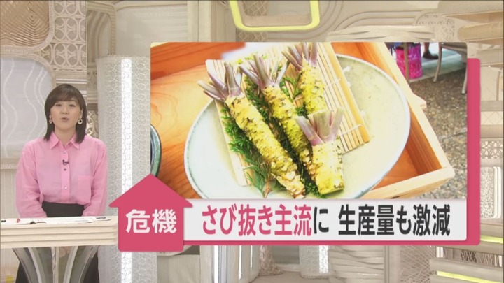 【悲報】「若者のワサビ嫌い」で生産量激減！！「このままでは日本の食文化が失われる。」