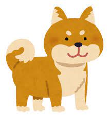 【悲報】ツイッターがアイコンを日本の柴犬に変更し韓国激怒ｗｗｗｗｗ