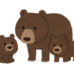 北海道のリアル熊動画　怖すぎる