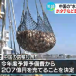 【北海道】年収３０００万円以上のホタテ漁師達「俺達以外にホタテ漁は絶対にやらせない、独占して利益を上げるんや！」→「稼げなくなったから税金で助けろおおおおおおおおおお！」