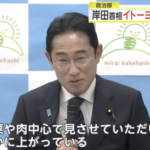 岸田総理　イトーヨーカドーを見て気付く「野菜や肉中心で見させていただいた。確かに物価が上がっている。」