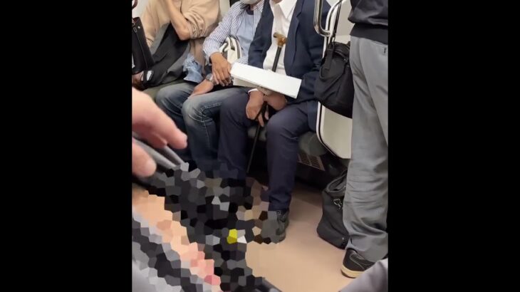 高齢男性、電車で泣く赤ちゃんに激高　親に「人間失格」と暴言 制止されるも「甘やかすから日本が駄目になる」…警察に引き渡される
