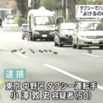 タクシー運転手「道路は人間のもの」と鳩を轢き殺し逮捕