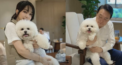 韓国で犬食禁止法が可決　食用目的の飼育などを禁止
