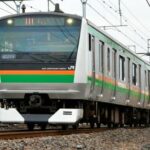 【インバウンド】日本の電車　トコジラミで終わる