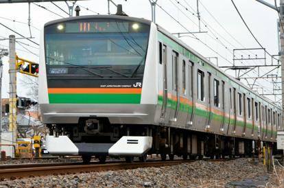 【インバウンド】日本の電車　トコジラミで終わる