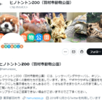 【ヒノトントンZOO】シロオリックスさん　働きすぎる現代人に大事な事を教えてくれる