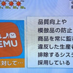 【NHKも宣伝して大人気】激安中国サイトTEMUで購入した”着る毛布”を着た少女　全身が炎上