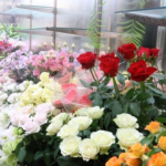 町の花屋「若者の花離れ」「何故売れないのか？」