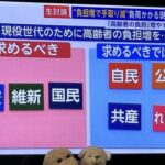 【衆議院選挙】一目でわかる『現役世代の為に政治』をやってくれる政党