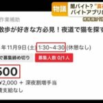 迷惑メール評論家「闇バイトに潜入したら、あまりにも馬鹿が多い事に絶望」