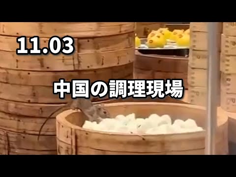 「ネズミがギョーザを食べている」…１４３年伝統の中国点心食堂で衝撃動画