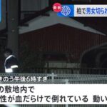 日本各地で刺傷刺殺事件が多発し日本の治安悪くなりすぎだと話題に