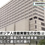 【令和の人身売買】栃木県のイチゴ農家　カンボジアから来た技能実習生に教えていた技能がこれ