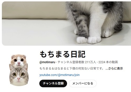ネコ好きな人は絶対に見ない『もちまる日記』虐待がヤバすぎて登録者数が激減する