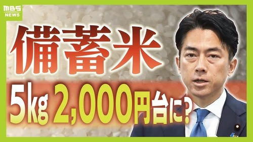 JAから献金を貰っている自民党・農林族議員　小泉進次郎が随意契約で備蓄米放出しコメ価格を下げてJAに迷惑をかけた事にガチギレ