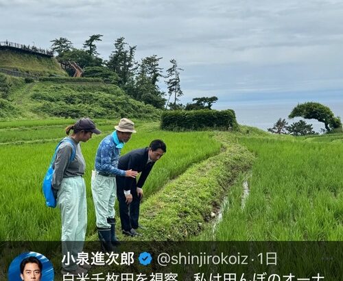 小泉進次郎さん　やっぱりバカだった・・・