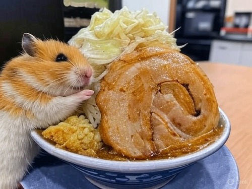 ラーメン二郎『ロット乱れ』←ガチで言ってるの草