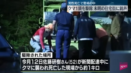 【北海道】人を襲っていた殺人グマでかすぎ