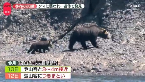 【北海道】登山中の男性を茂みの中へ引きずっていくクマに対して　友人は素手で戦っていた